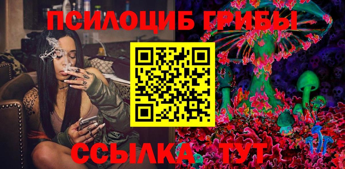 купить   Галлюциногенные грибы MAGIC MUSHROOMS  Вход с VPN  Анжеро-Судженск 