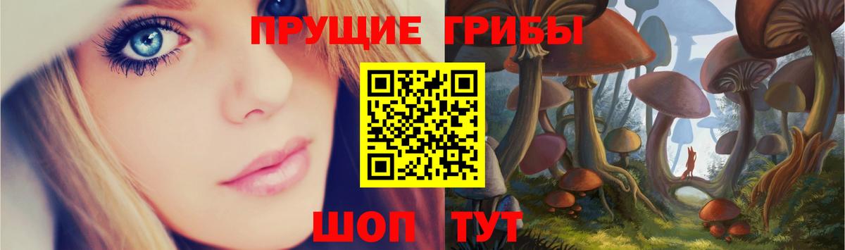 Галлюциногенные грибы Psilocybe Анжеро-Судженск